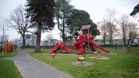 Rocks hurled at cars at Athy town park