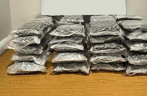 Man (20s) arrested after 22.3kg cannabis seized at Dublin Airport ...