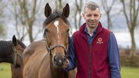 Three Kildare winners at horse racing industry awards