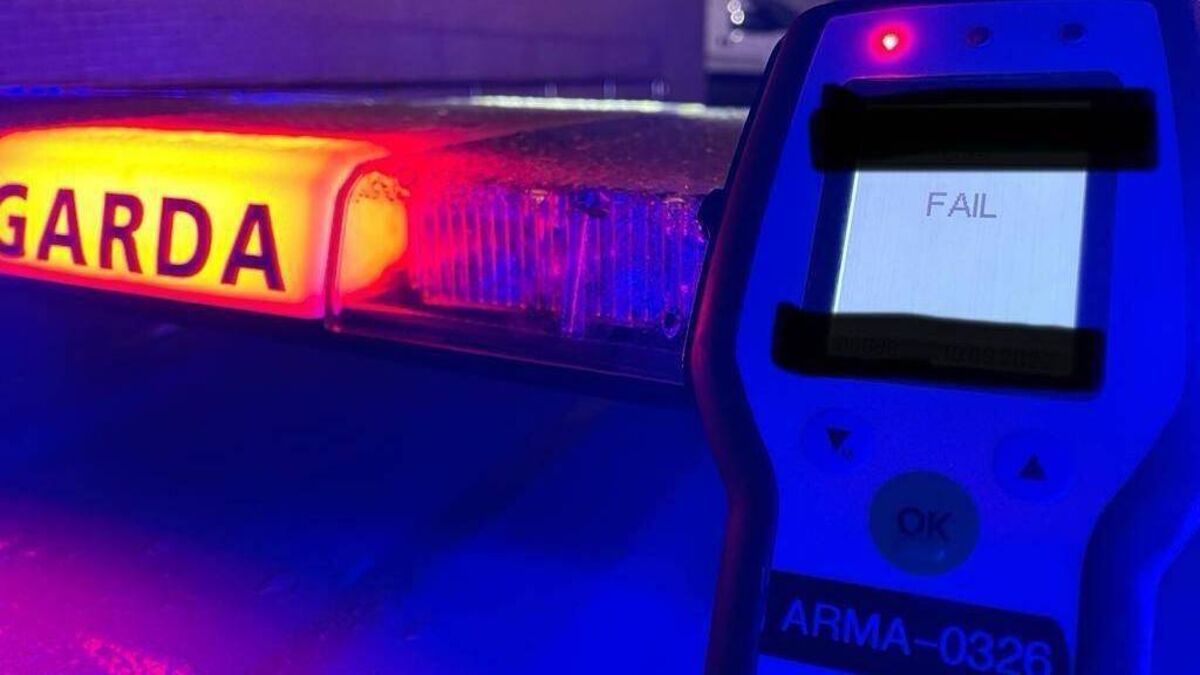 Kildare driver was almost four times over legal alcohol limit