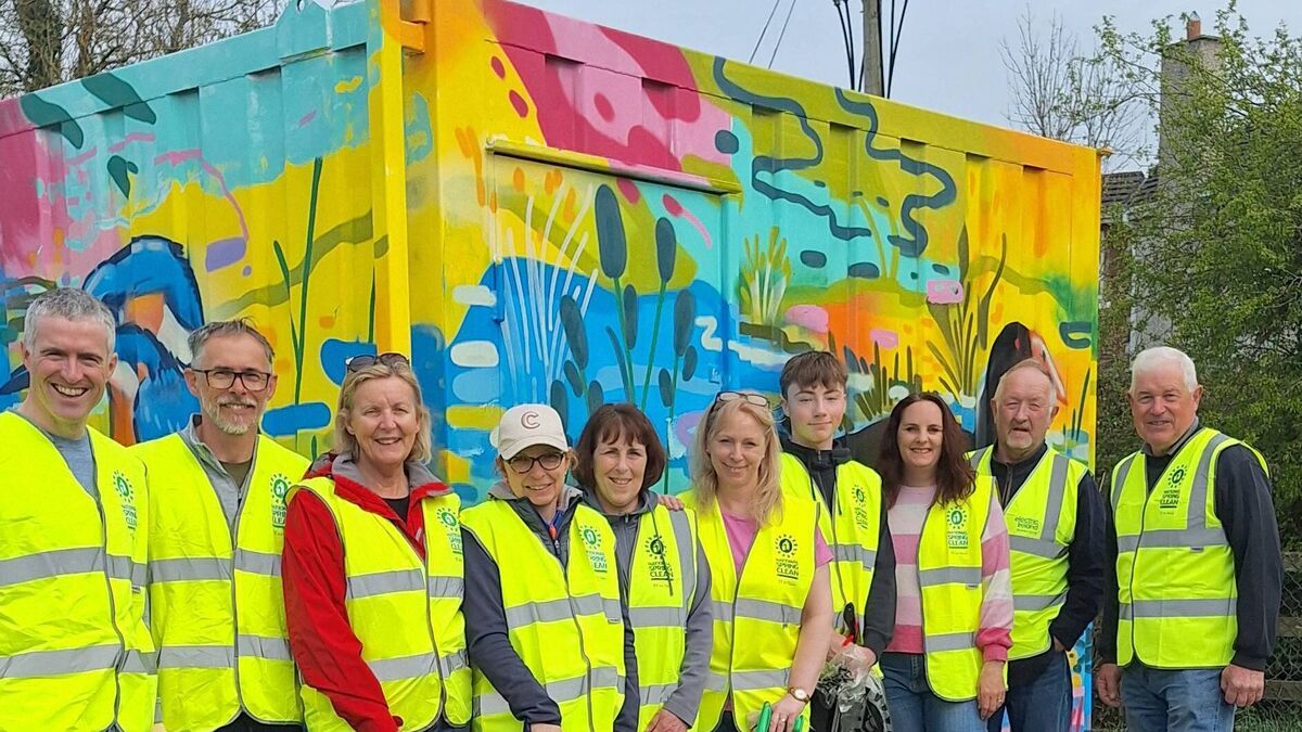Kildare Tidy Towns group start early for the Spring clean