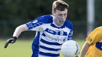 Cummins and Kennedy lead the way for Naas