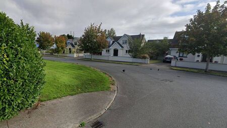 Two Kildare estates to be taken in charge by council