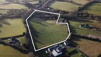Six acres of Kildare land up for sale with €150,000 guide price