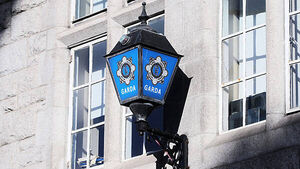Young boy dies after being struck by car in Co Westmeath estate