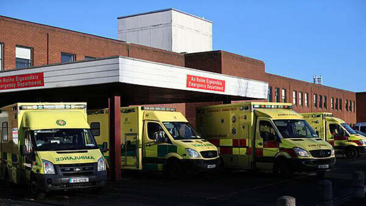 Woman (70s) injured following attack by dog in Dublin