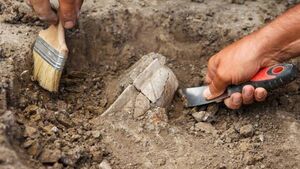Maynooth researcher confirms gladiators fought wild animals
