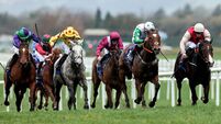 Moone Celtic to hold Race Night fundraiser