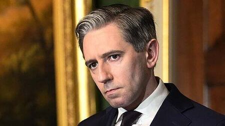 Family of Sean Brown has waited too long for truth – Simon Harris