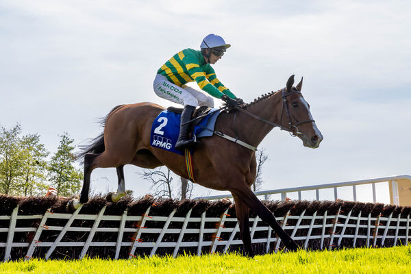 Mark Walsh onboard Irancy jumps the last to win the Champion Novices hurdle. 