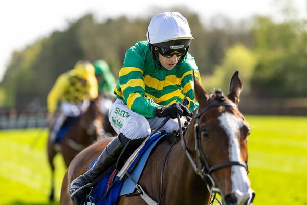 Mark Walsh onboard Irancy comes home to win the KPMG Champion Novice Hurdle (Grade 1) Photo: ©INPHO/Morgan Treacy Mark Walsh onboard Irancy comes home to win the KPMG Champion Novice Hurdle (Grade 1) Photo: ©INPHO/Morgan Treacy