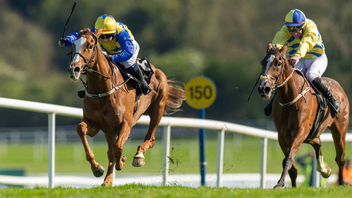 Switch From Diesel gives Ross O’Sullivan plenty to cheer about