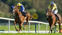 Switch From Diesel gives Ross O’Sullivan plenty to cheer about 