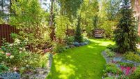 Living Greener: Forest gardens are worthy investment 