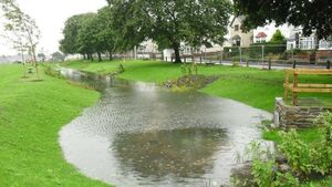 Bid to improve flood resilience in Co Kildare