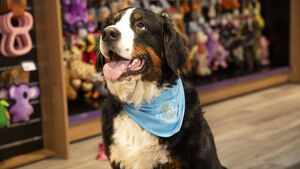 Pet chain celebrates 30 years in business at Kildare branch
