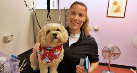 New Kildare dog grooming service opens