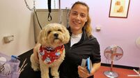 New Kildare dog grooming service opens