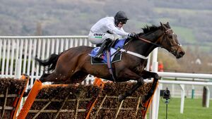 Constitution Hill the star attraction on Day 4 of Punchestown
