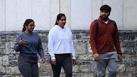 Software engineers with Kildare address admit €3,500 Ikea theft spree
