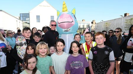 Sponsored walk raises over €10k for Naas school