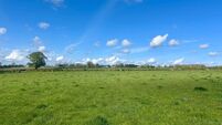 Over 20 acres near Kildare town to be sold at auction
