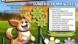 Kildare Rescue Tails: Dog agility course taking place this weekend