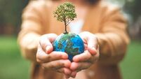 Kildare hosts climate action events 