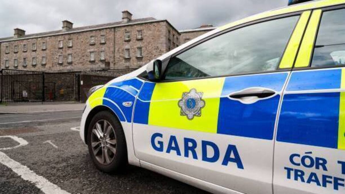 Driver carrying 40 passengers chased by Kildare gardaí for 5km without realising