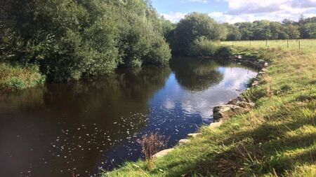 Meetings on Kildare water quality