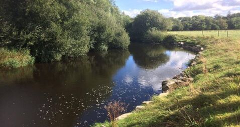 Meetings on Kildare water quality 