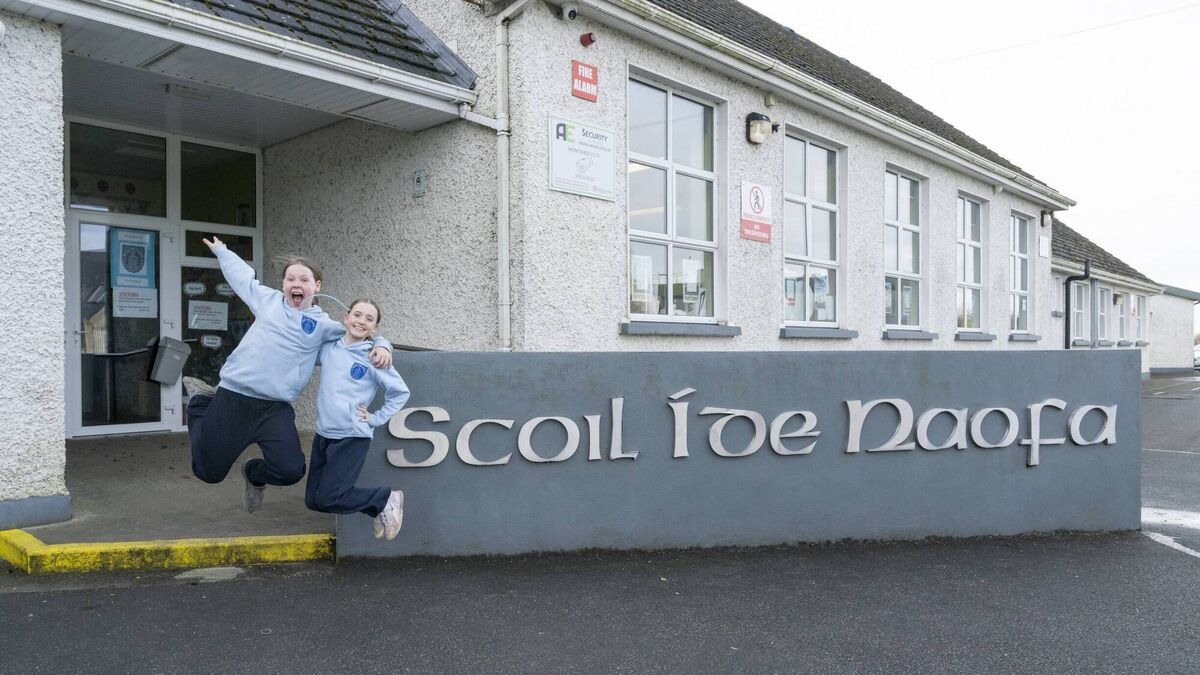 South Kildare school seeks extension