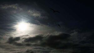 Thunderstorm warning in place for three counties