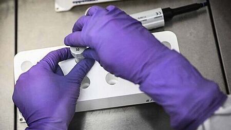 New research could be 'overstating' link between Parkinson's and pesticides, neurologist says