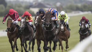 Goffs Extend Sponsorship of Group 3 Lacken Stakes and Owners & Trainers Lounge at Naas Racecourse in New Three-Year Deal