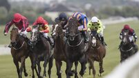 Goffs Extend Sponsorship of Group 3 Lacken Stakes and Owners & Trainers Lounge at Naas Racecourse in New Three-Year Deal