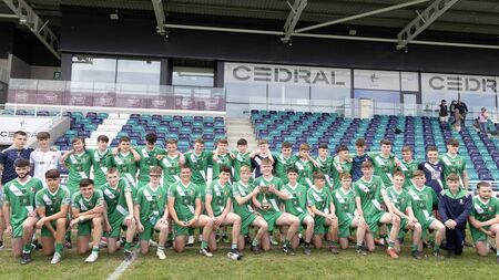 Sarsfields' minors claim Division 1 title
