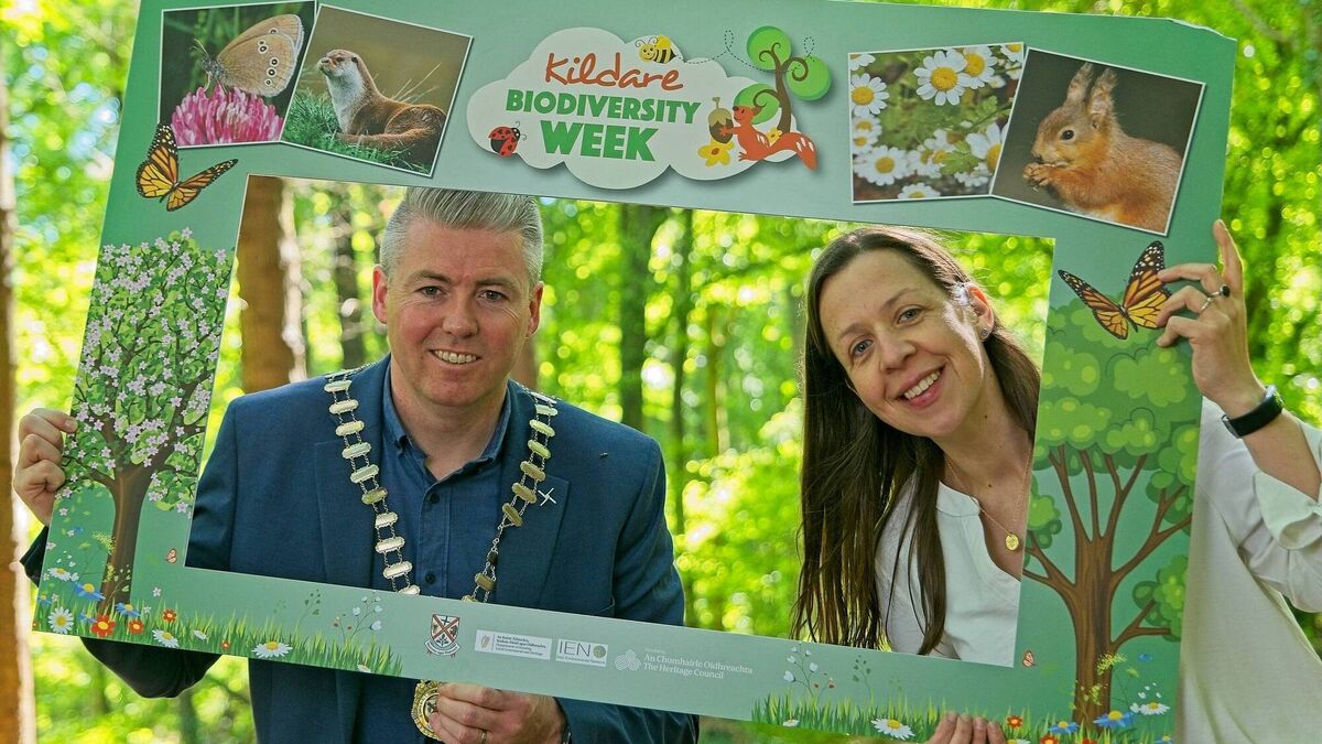 Kildare celebrates Biodiversity Week 2025