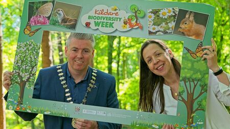 Kildare celebrates Biodiversity Week 2025