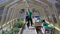 Kildare school's polytunnel provides experiential learning