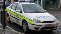 Student lied to the gardaí to get a lift home 