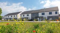 Applications for Naas affordable homes open next week