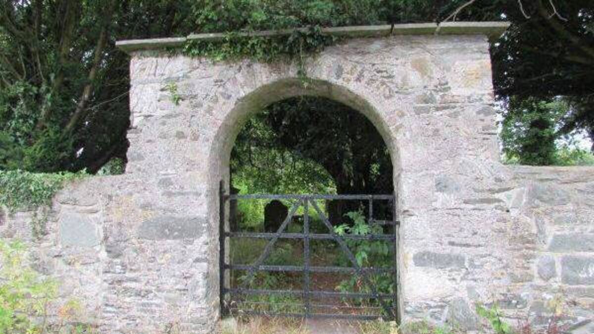 Kildare Tidy Towns group receive funding for heritage site conservation 