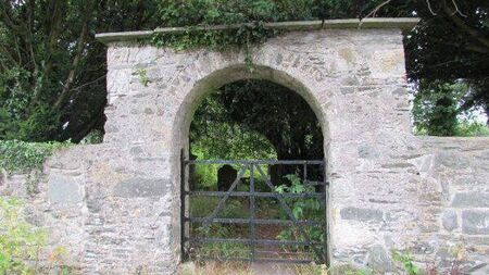 Kildare Tidy Towns group receive funding for heritage site conservation 