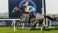 Favourite takes 2,000 Guineas in impressive style