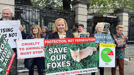 Bill banning ‘cruel’ fox hunting in Ireland introduced to Dáil