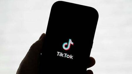 TikTok asks court to halt suspension of data transfers to China