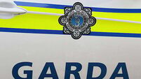 Man dies in farm accident in Co Kildare