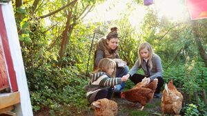 Living Greener: The trials and triumphs of rearing chickens
