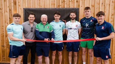 Sarsfield go Scandi with sauna
